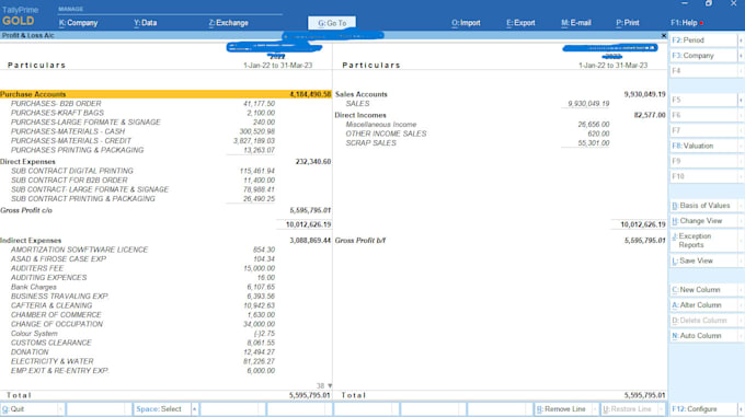 do tally software entry works