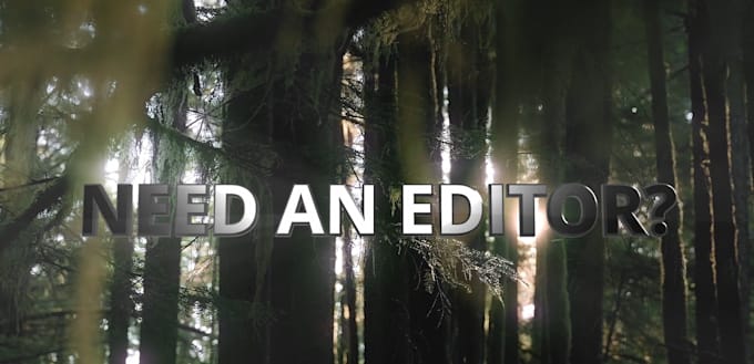 professionally edit your video or vlog