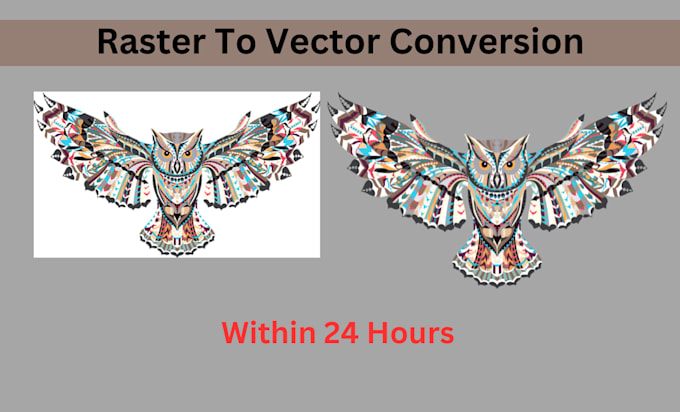 do professionally vector tracing