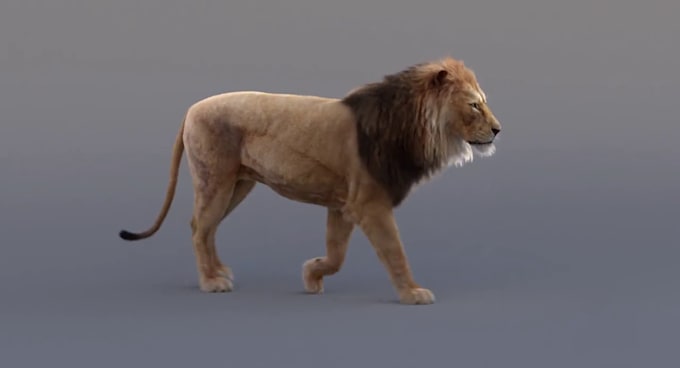 do 3d animal animation, 3d animal model, 3d animal character design, 3d models