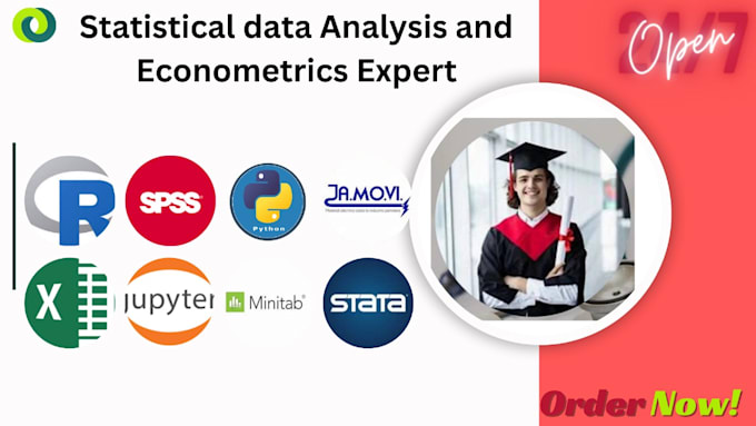 do statistical data analysis, econometrics assignments and projects using r spss