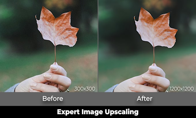 upgrade your images with high quality upscaling service