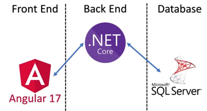 develop web application in asp dot net core and angular