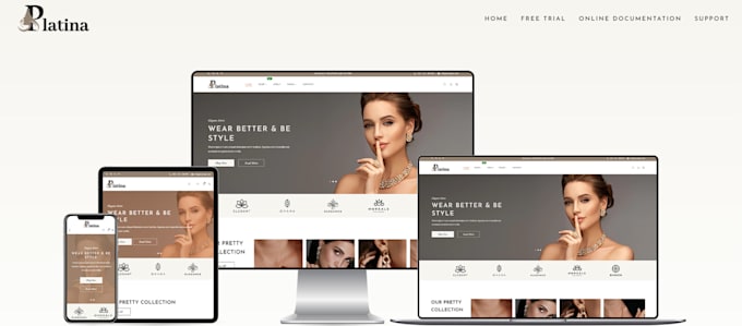 expert professional shopify store setup and optimization