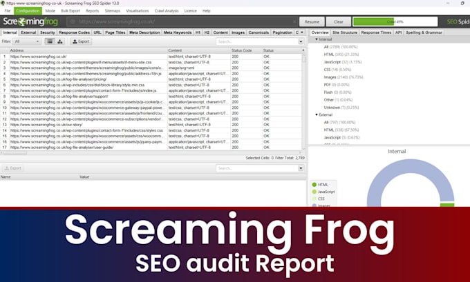 do website audit using screaming frog SEO spider and deliver a report