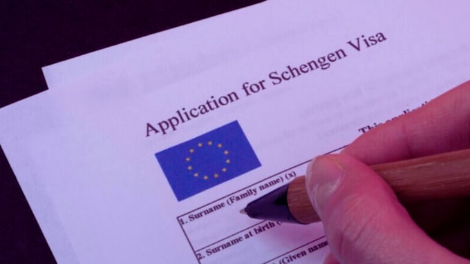 provide expert visa consultation and documentation service