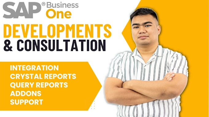 develop and customize sap business one solutions and reports for your business