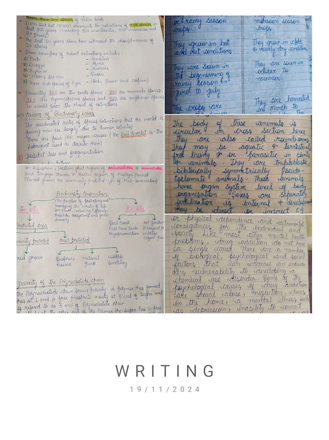 gracefully handwrite any documents study notes assignments and letters for you