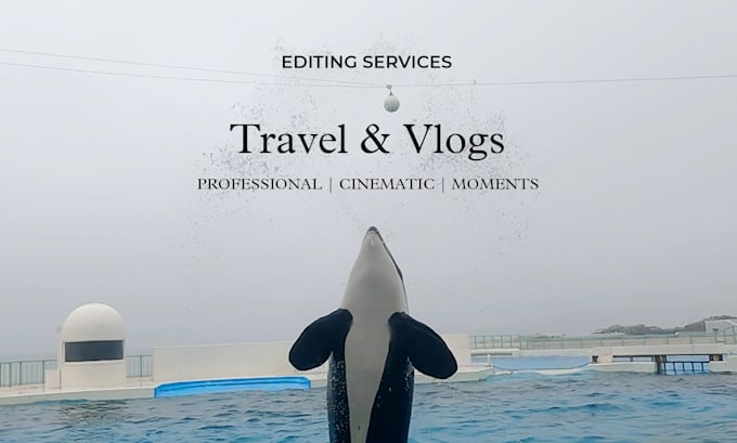 do best youtube vlog editing within 24 hours
