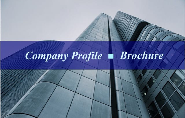 write exclusive company profile or brochure content
