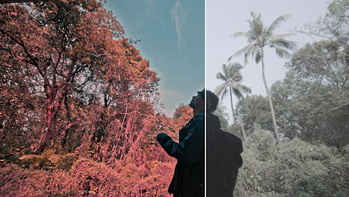 do a clean color grade for your videos