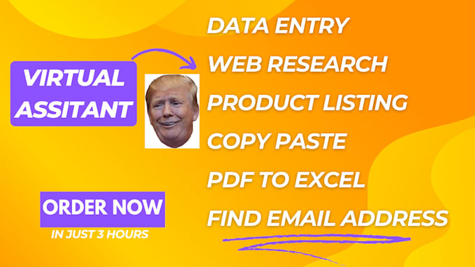 be your virtual assistant for data entry, web research in 3 hours