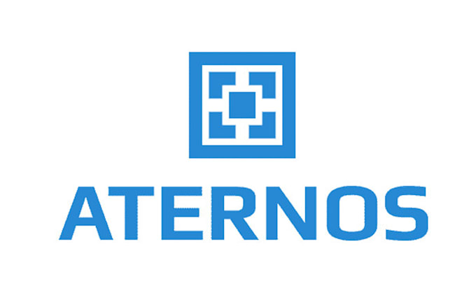 make a custom minecraft server for you in aternos