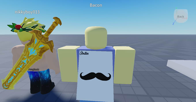 HOW TO GET A CAPE IN ROBLOX visual data 7