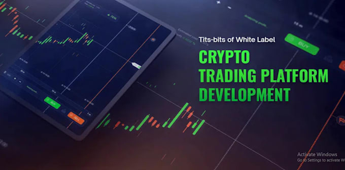 build crypto exchange website, wallet app, dex exchange, p2p, defi