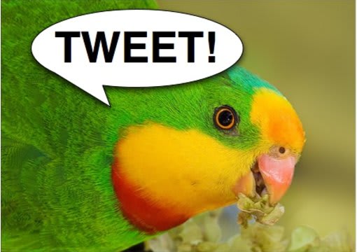 send out your Ads 4 times in 24 hours, to my 11,000+ followers about your Business or Website