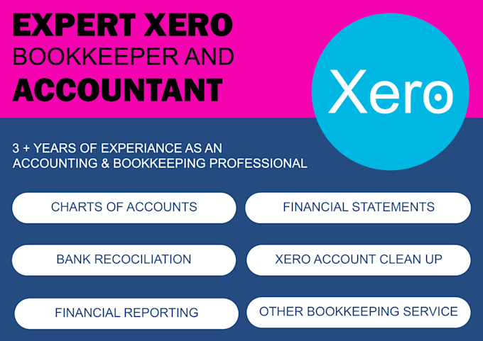 do bookkeeping, cleanup, catchup, and bank reconciliation using xero