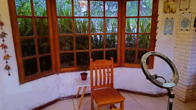 provide distance reiki healing with post session voice insight