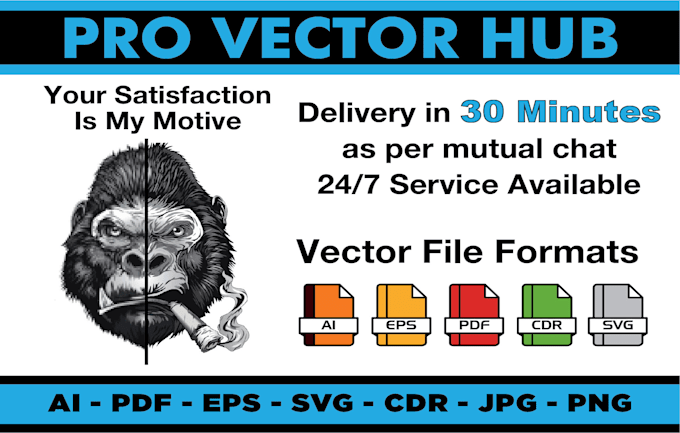 do vector, vector tracing ai, PSD, png, svg in 30 mins