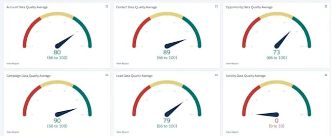 customize your salesforce reports, dashboard, and data scrubbing