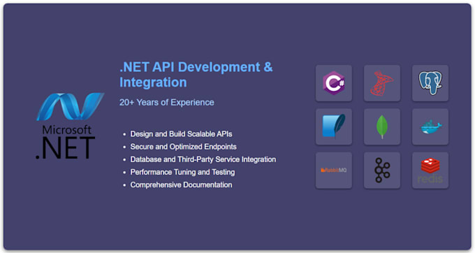 develop professional web applications in dotnet