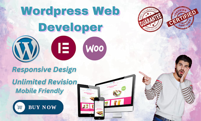 design professional wordpress website