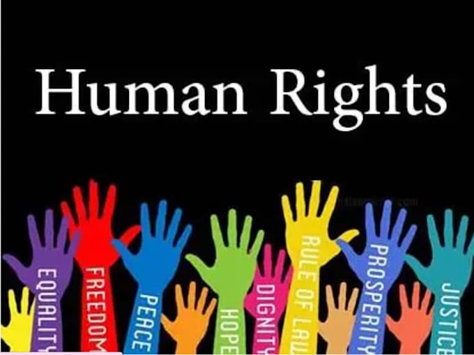 assist in case study, sociology, gender study, feminism and human right