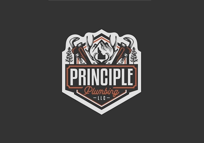 design bold memorable plumbing company logo