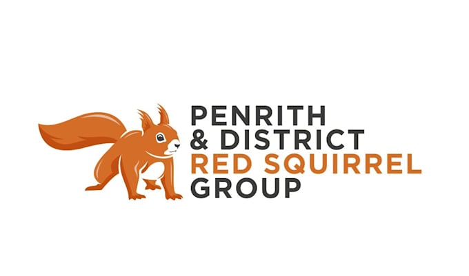 create amazing squirrel logo design