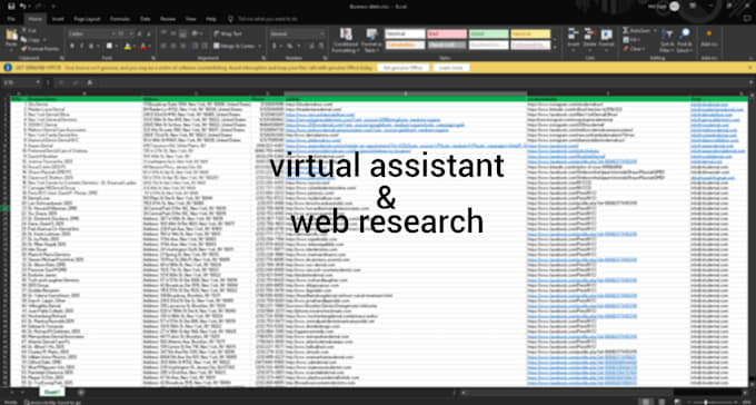 do virtual assistant for web research and data entry