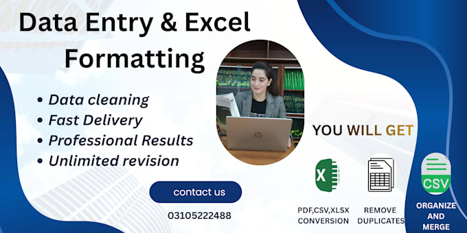 expert in excel, data entry, and spreadsheet management