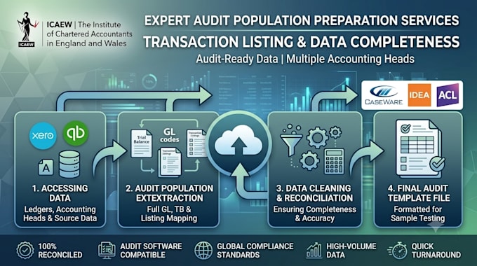 prepare audit ready financial data and ledger mapping