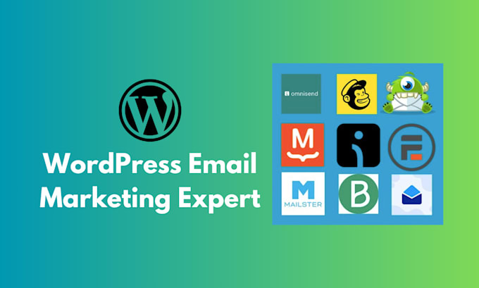 be your wordpress email marketing expert for any plugin