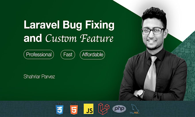 bug fix or customize your laravel web app