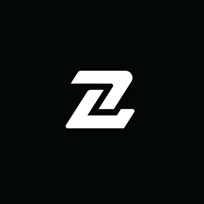 make professional modern logo design sleek and simple