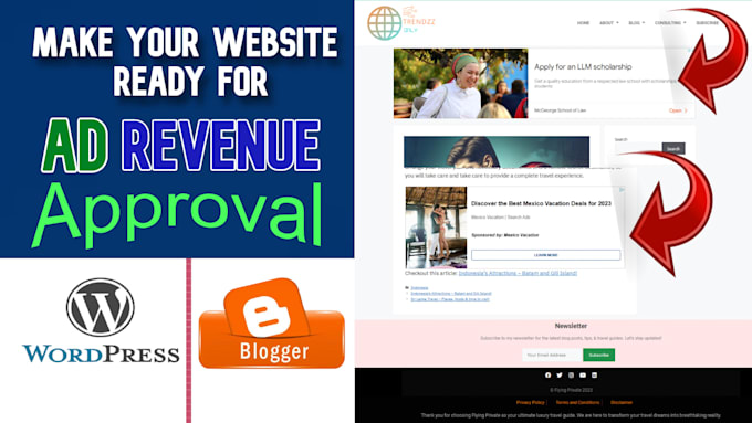 design a professional website for ad revenue approval
