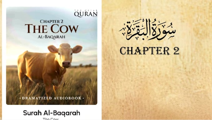 do quran explainer videos with silhouette animation