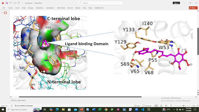 do molecular docking  bioinformatics and biorender