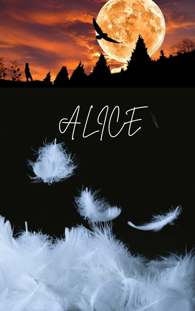 design professional book and novel covers for you