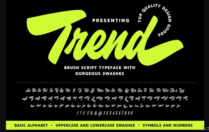 create a custom trendy logo design in 24 hours