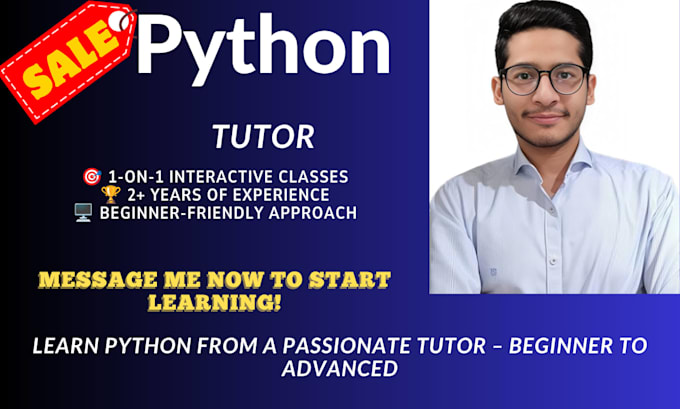 teach you python programming