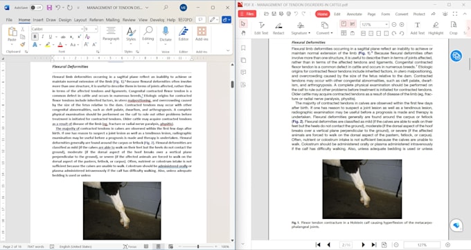 convert PDF files into word editable file