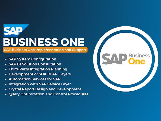 provide you sap business one implementation and support