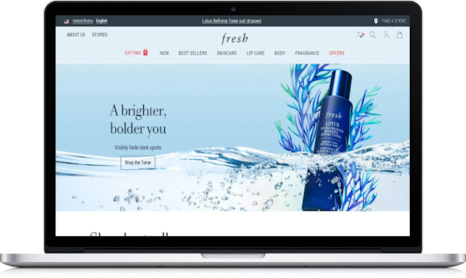 clone, revamp, copy shopify store or website design