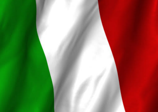 translate into italian any kind of text for you