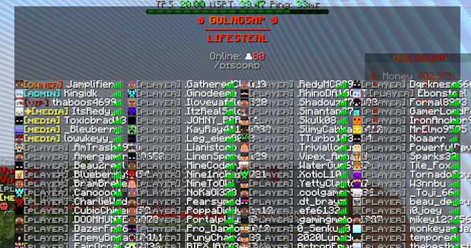 setup a minecraft server and configure plugins for you