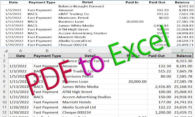 convert PDF to excel, scan pages to excel, or data entry