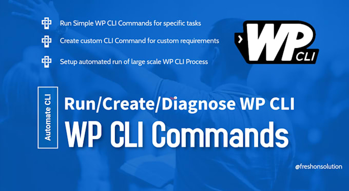 do wp cli for wordpress related large data processing
