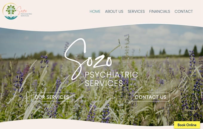 design and develop a custom built wordpress website