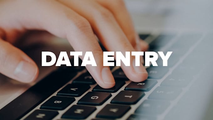 help you do data entry typing work in excel spreadsheet
